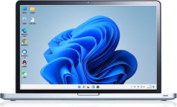 Windwos 11 专业纯净版 X64 v2025